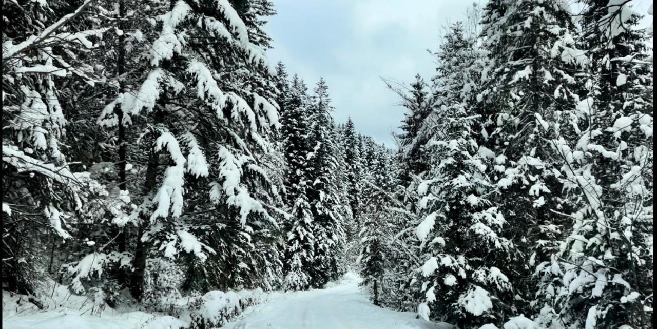 Private House Scherbovets Zhdeniievo Luaran gambar